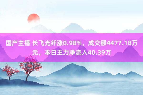 国产主播 长飞光纤涨0.98%，成交额4477.18万元，本日主力净流入40.39万