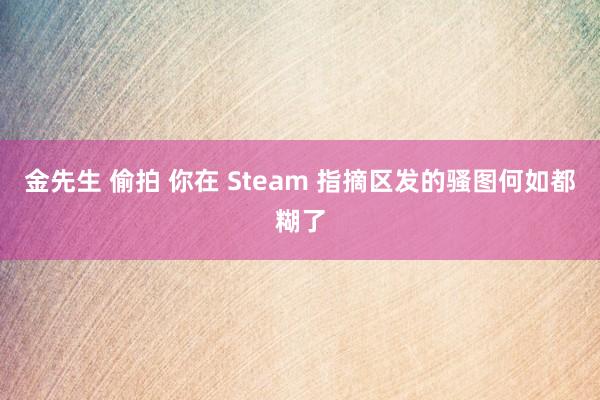 金先生 偷拍 你在 Steam 指摘区发的骚图何如都糊了