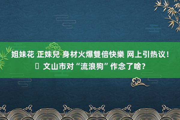 姐妹花 正妹兒 身材火爆雙倍快樂 网上引热议！​文山市对“流浪狗”作念了啥？