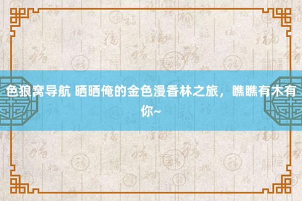 色狼窝导航 晒晒俺的金色漫香林之旅，瞧瞧有木有你~